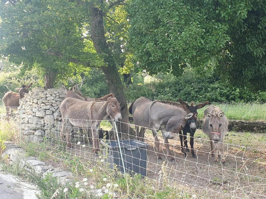Vila La Castellane, Vue Imprenable Sur Le Luberon Saignon Exteriér fotografie
